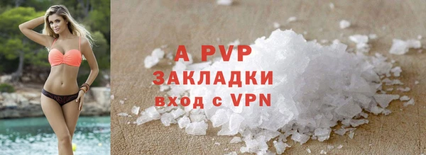 индика Осинники