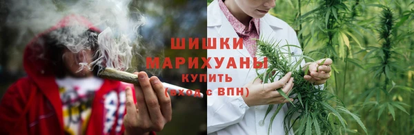 индика Осинники