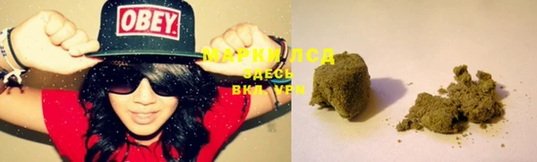 spice Абаза