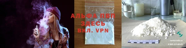 прущие грибы Осташков