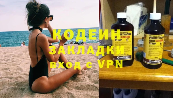 прущие грибы Осташков