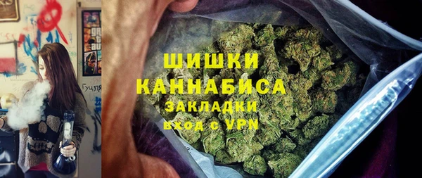 прущие грибы Осташков