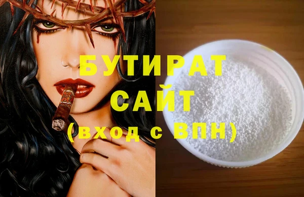индика Осинники