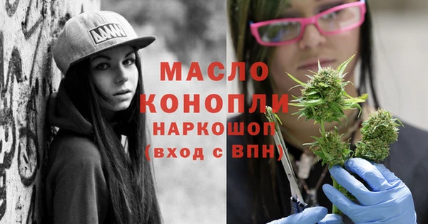 индика Осинники