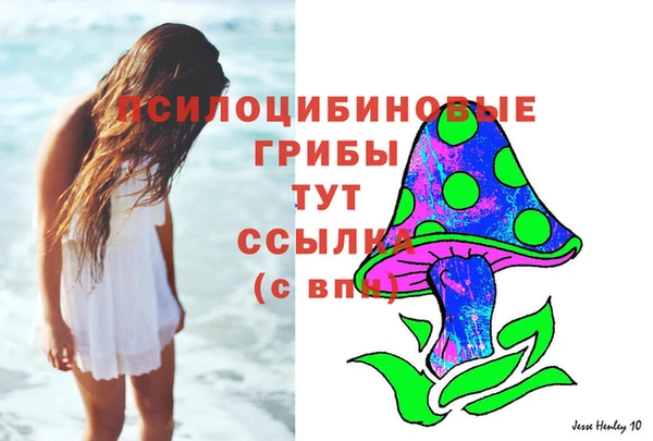 тгк Абинск