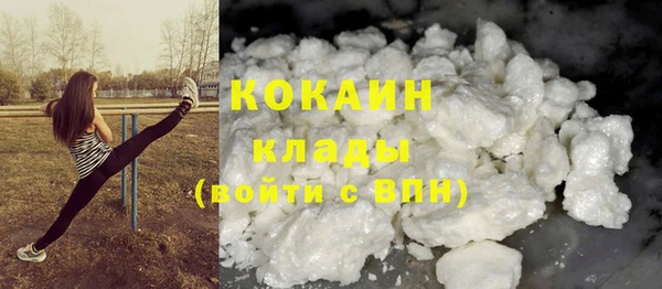 прущие грибы Осташков