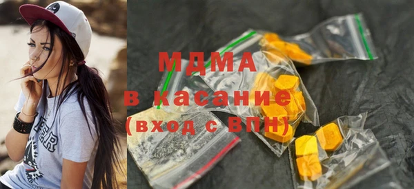 индика Осинники