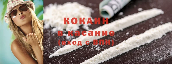 прущие грибы Осташков