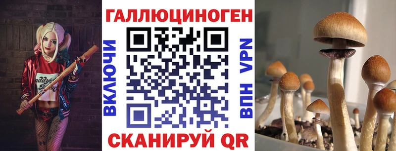 Псилоцибиновые грибы Magic Shrooms  Шилка 