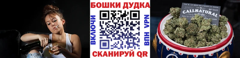 где можно купить Шилка МАРИХУАНА сатива